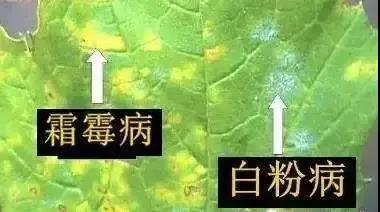 ɱ���������Ĵ��࣬�÷�������ɶ��ͬ��