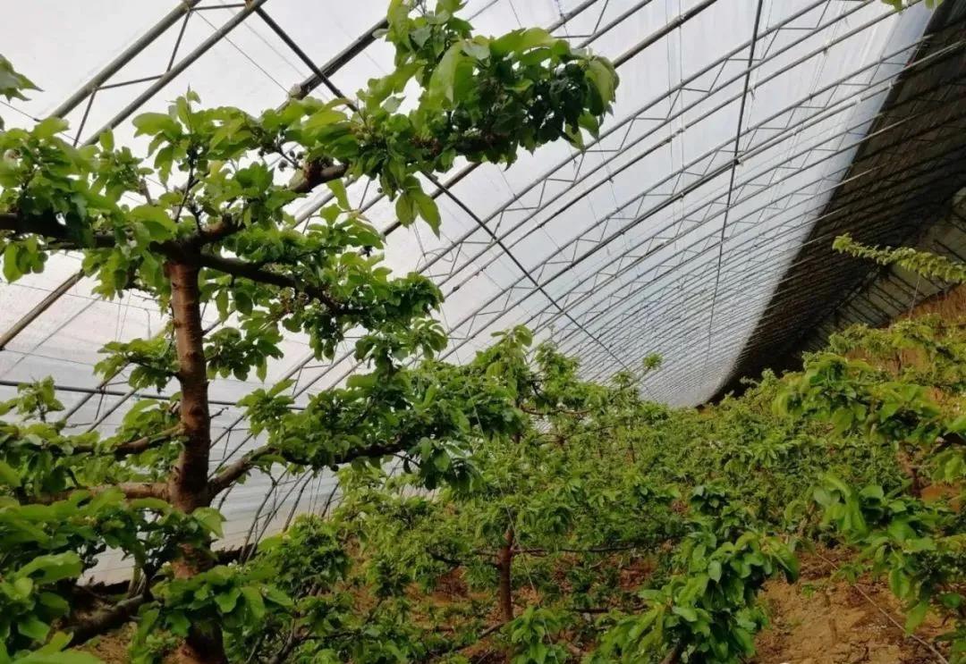 ����ĵ�һ�����ϣ����л��ʡ������л��ʡ�΢������ʣ�ѡ���ĸ����أ�