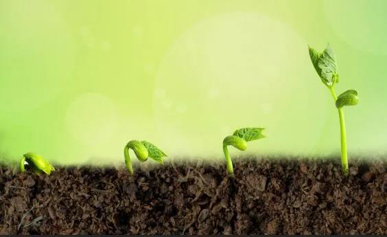 ����Ԥ����������죬�߲˳��úã�