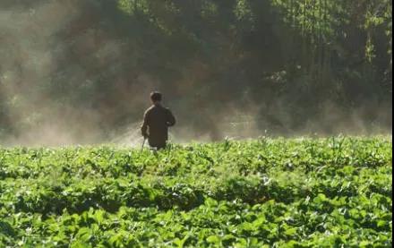 ����ѧ�������ѡ΢���������