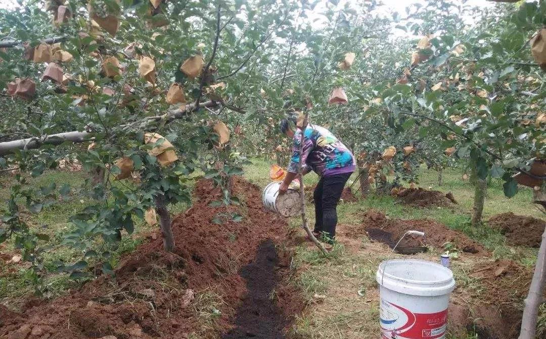 �＾ʩ�������7���������ڲ��Ȼ����ü���