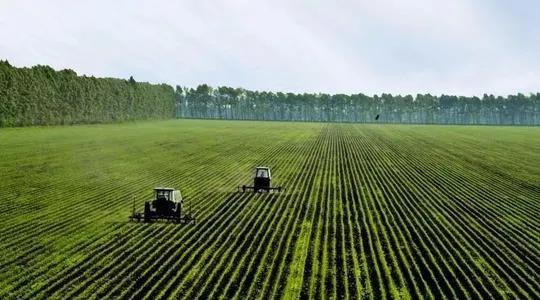 �߱�׼ũ��ߡ����ģ�δ��ʮ������ƽ���