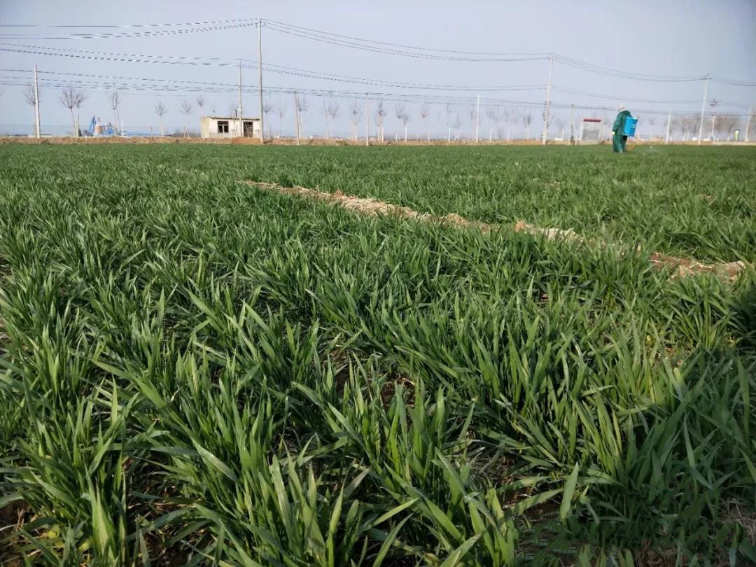 2021��2022���ȫ��С���ﶬ�ּ������