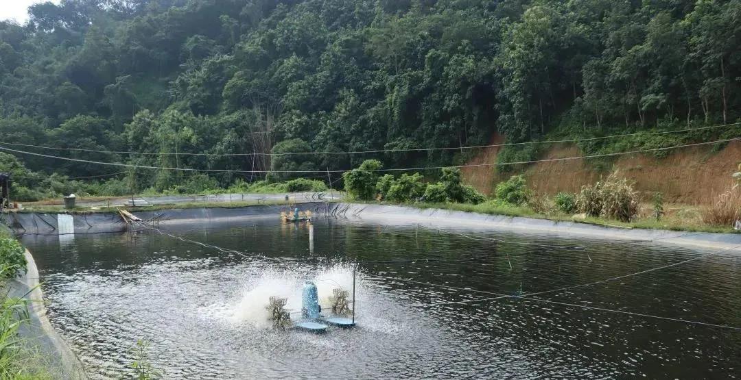 �����淢�������Ǹ������������ף�