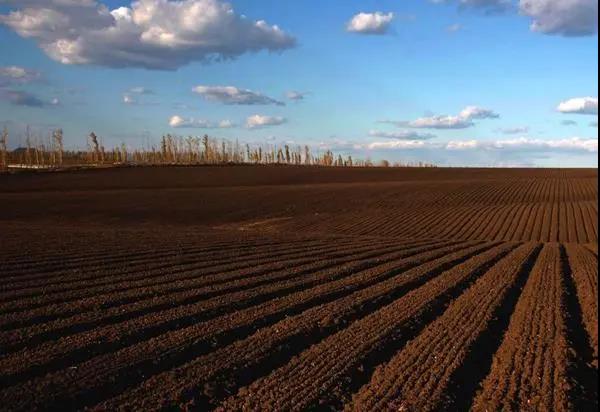 ������������ô���ģ�������ôû�ģ�