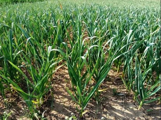 �����������ܸ߲�������ǰ�������μ���5�㣡