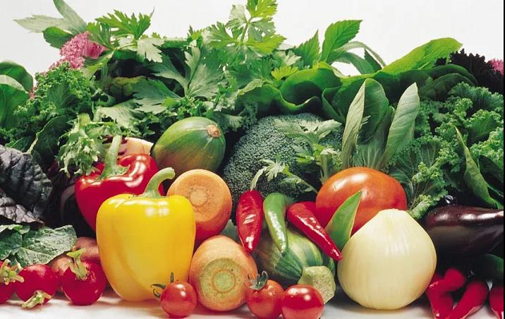 10�·ݻ�����ֲ��Щ�߲ˣ�