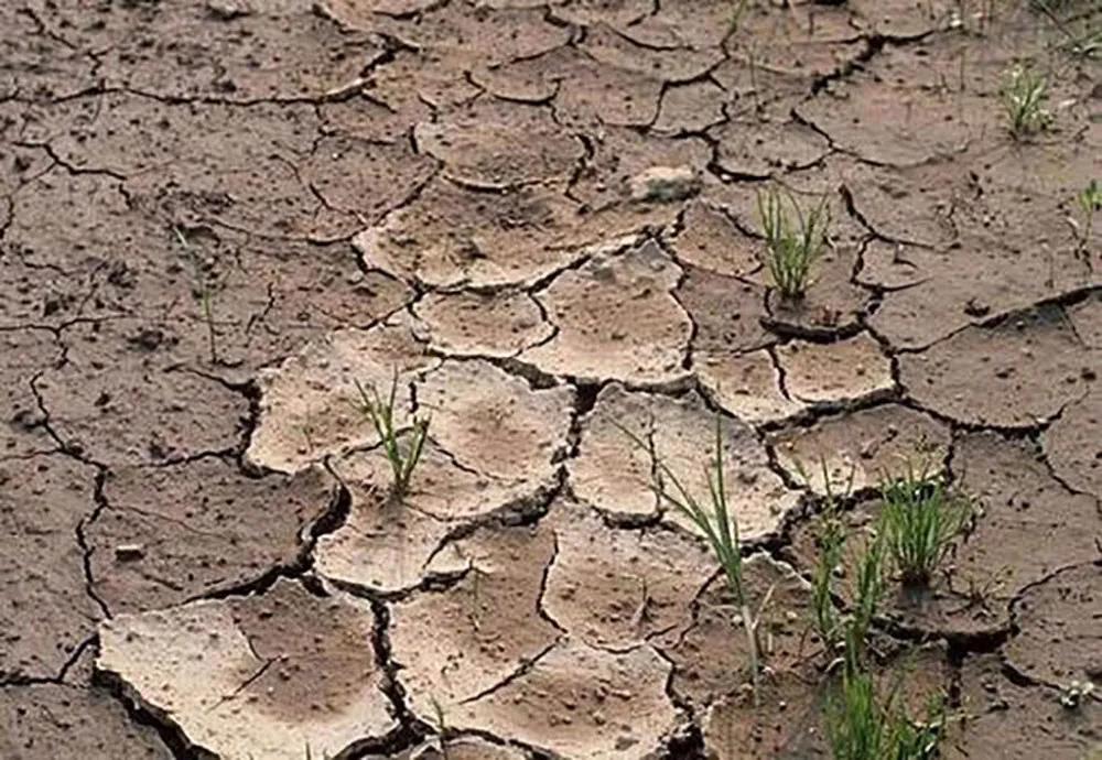 �������VS���ʣ�û�жԱȾ�û���˺���