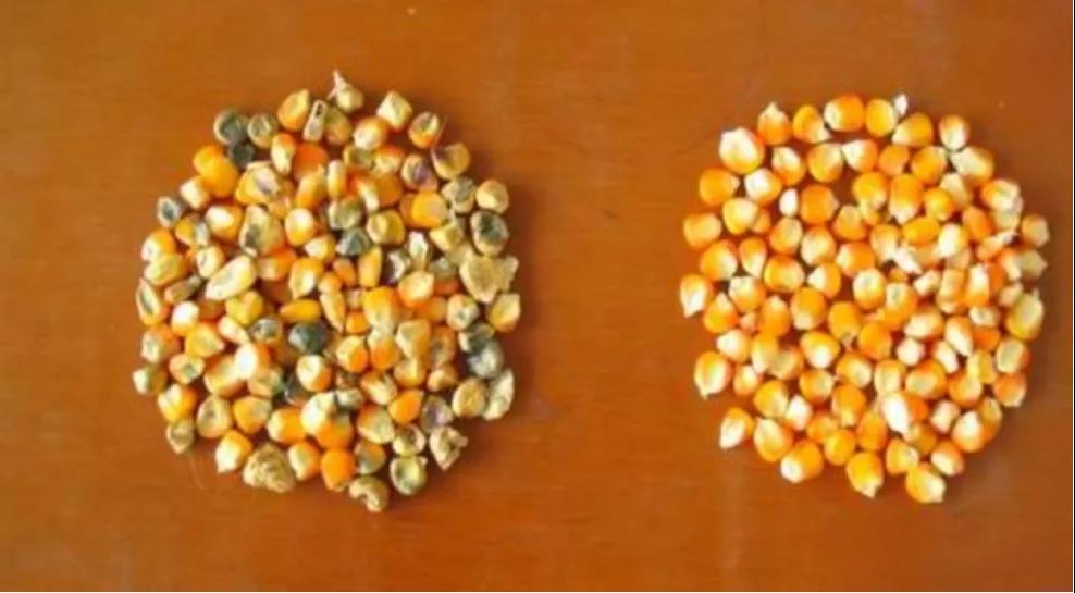 �����ù�����⣬�������ȫ�������ˣ�