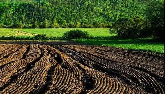 ��������ϵ�9������