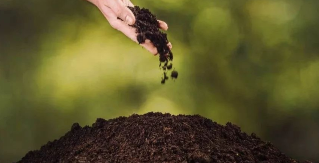 Ϊʲô˵���ʲ���ũҵ��ֲ�ز����ٵĲ�Ʒ��