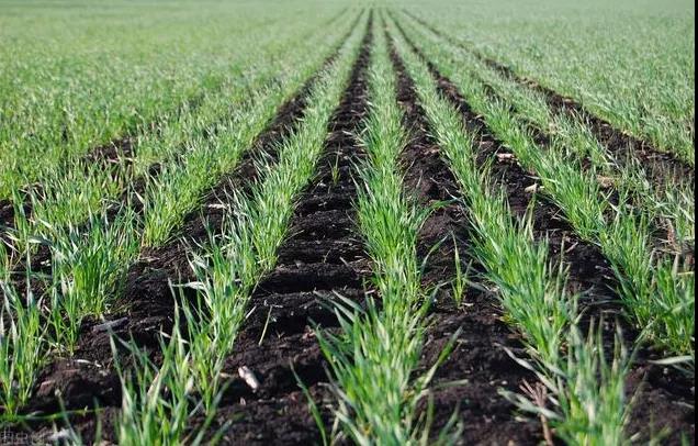 С�󲻶��࣬������һ�룡���ն���������ʱ�䡣