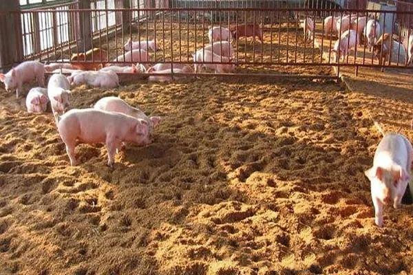 ʲô���л��ʣ�Ϊʲô˵�����Ҫ�������ʹ���������Ϊ�л���ʹ�ã�