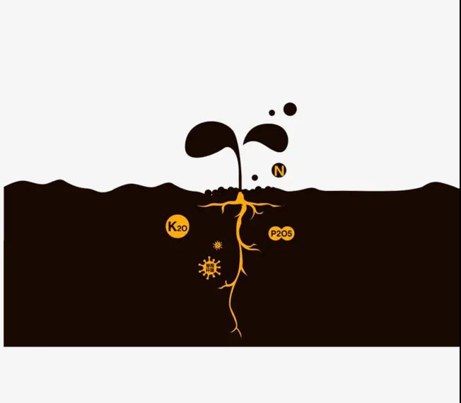 5�ֳ�������ʹ�ý���