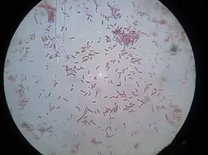 ���ʽ����ֵص���ѡ���ϣ�