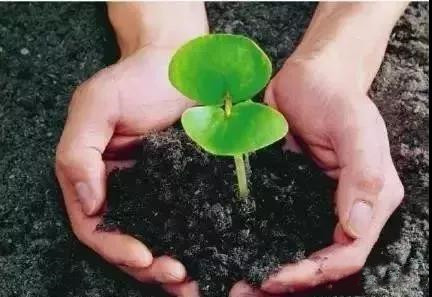 ��ֳ����ж�ţ?���ѡ�ú���Ҫ!