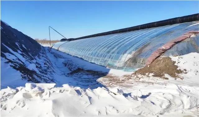 ��ѩ�����Ҵ�����ι���?