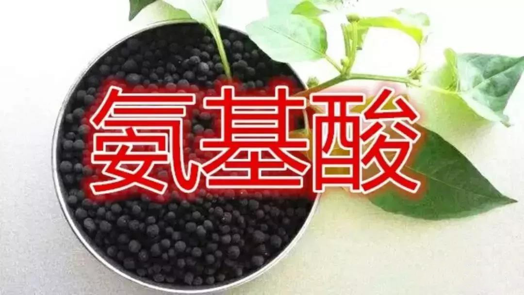 �����ᡢ�����ᡢ����ֳ��ȹ�����Ҷ���ȫ��