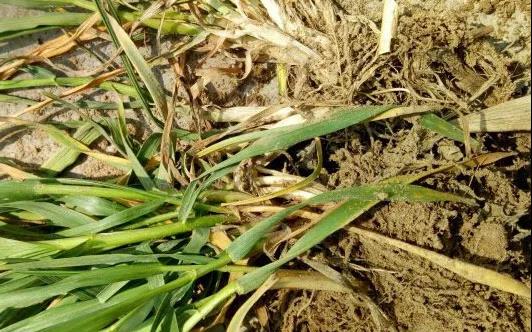 ��������������֢״��һ��Ҫע�⣡