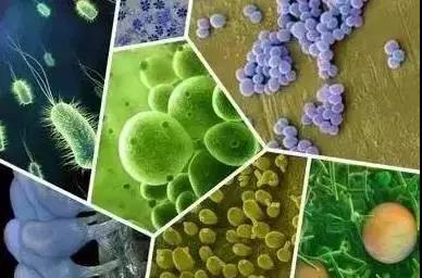 �ݲ�ѿ�߸˾�������ֲ�߱ر������ߡ�������