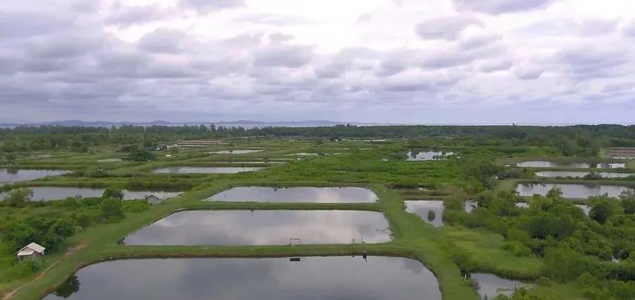 ��ʯ�ң�Ư�׷ۣ����ѱ�������������Ч������?