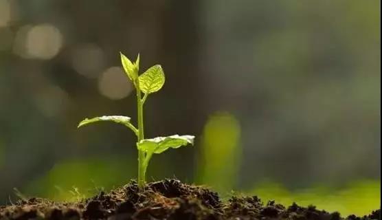 �ݲ�ѿ�߸˾�������ֲ�߱ر������ߡ�������