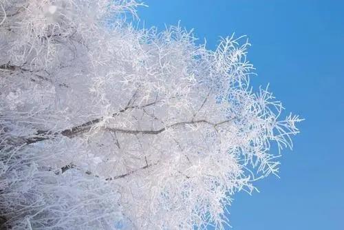 ������ô�䣡ũ����Ҫ����������