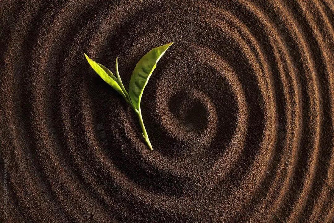 ���������΢����