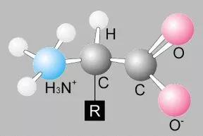 ���صġ��������ࡱ���ϴ���أ�