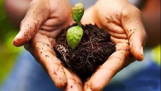 ΪɶҪ��΢������ϣ���ƪ����˵��̫���ˣ�