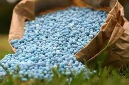 ˮ�ܷ���ٱ�𣬽��㼸�о��Ժ��ã�