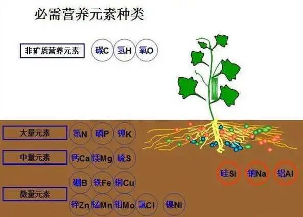 ʵ��֤����ѿ�߸˾���ũҵ������������Ҫ����