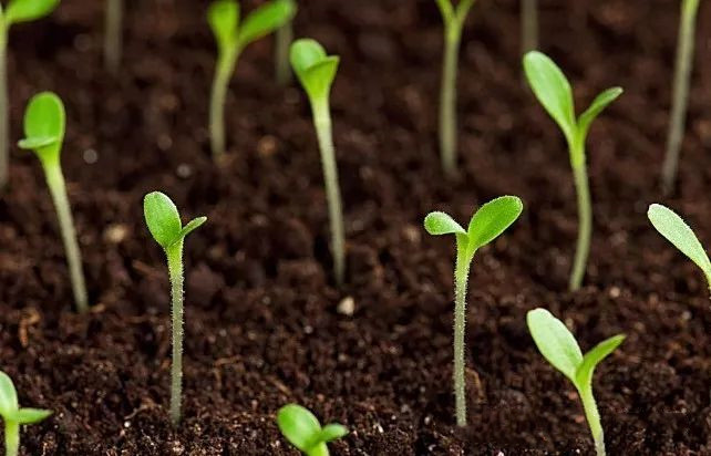 ΢�������ȫ���أ�����ѧ�ʿ����