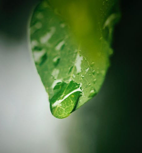 Ҫ�������ã���Ҫ�о���Ҫ���л���