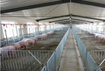 ��������ע���������ĵ�