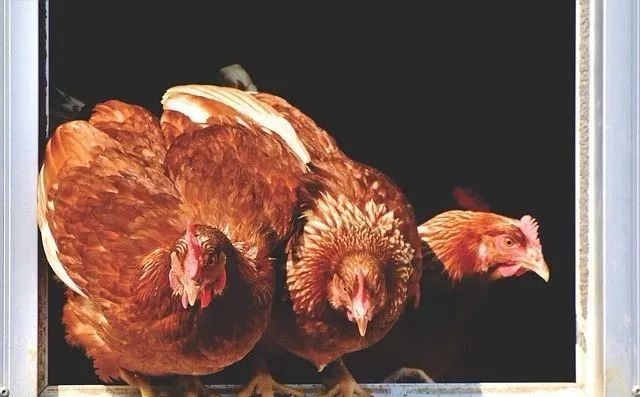 �������������Σ����