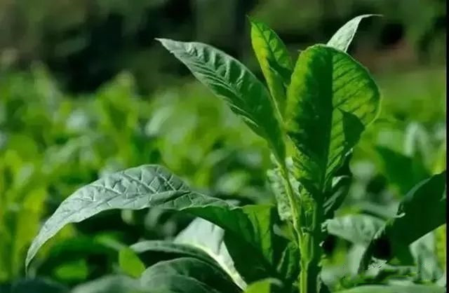 ����������22�������ϵ�ʹ�÷������ղذ棩