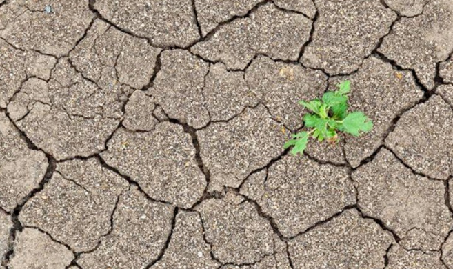 ����������ø�������ð�����������͸��