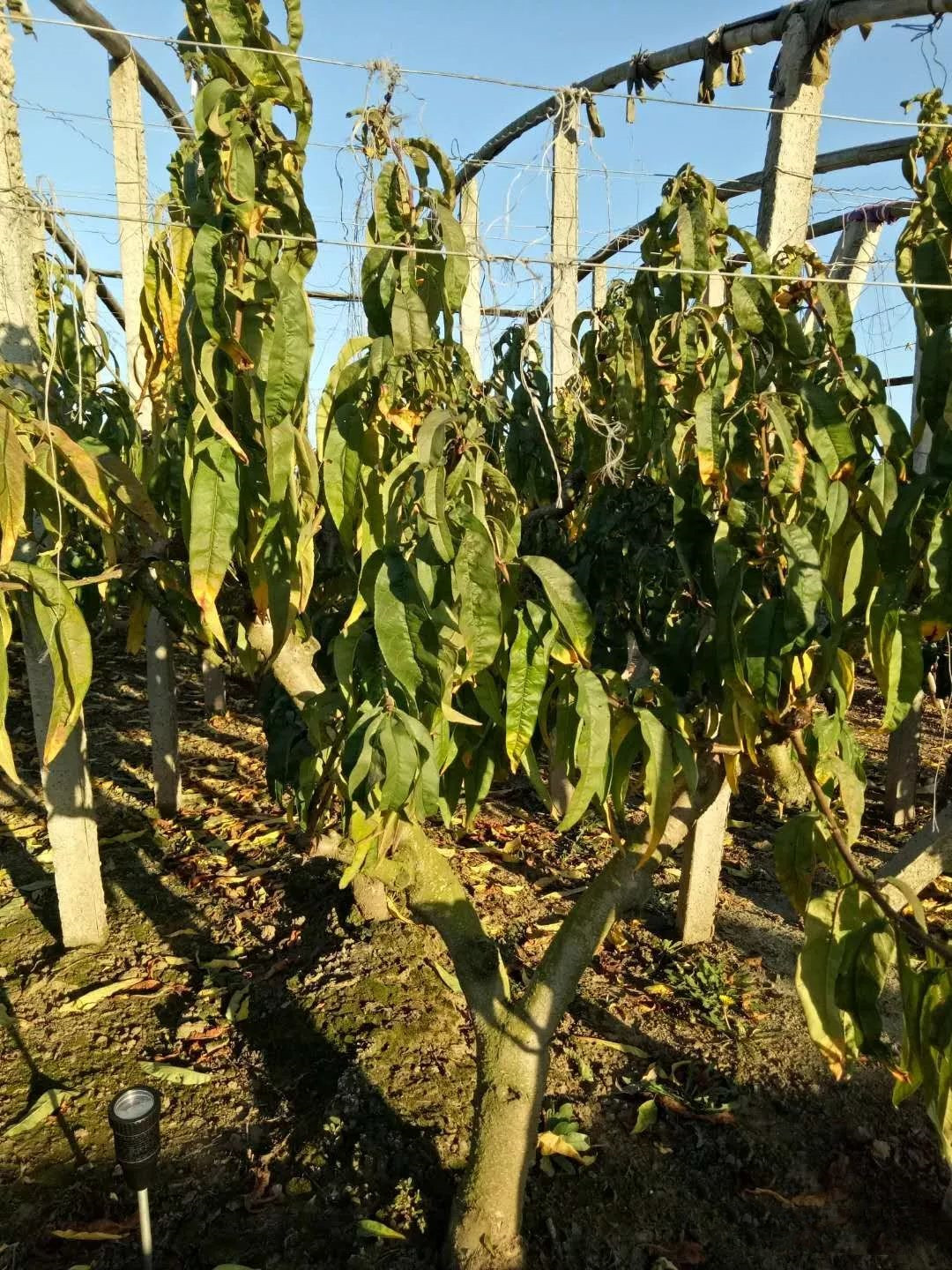 ΢������ϣ����������Ŀ���