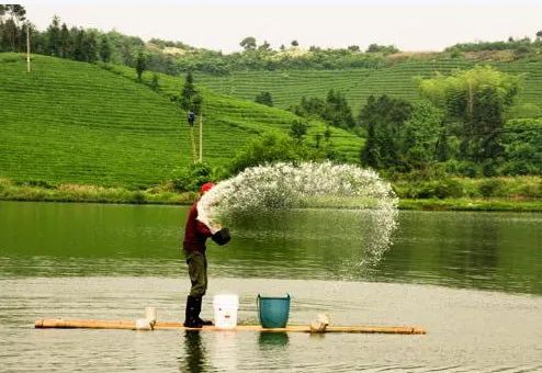 ��ο�ѧ��ʶ�аٳ桢���Ƽ�������ͭ��