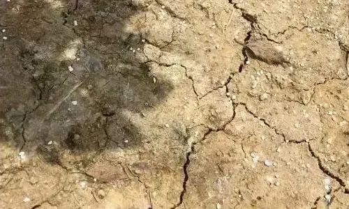 �������л��ʡ��½�=������ɱ��