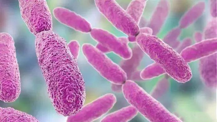 ���͹��գ�΢�������������ۺϷ���