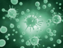 ũҵũ�岿��׼�Ǽǵ�΢�������ֻ����11��