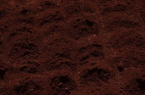 ���ﳤ�ĺò��ã��Ϳ������ɲ��ɣ�