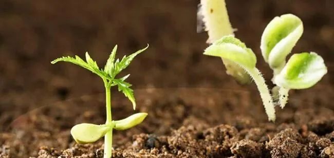 ΢�����뻷������