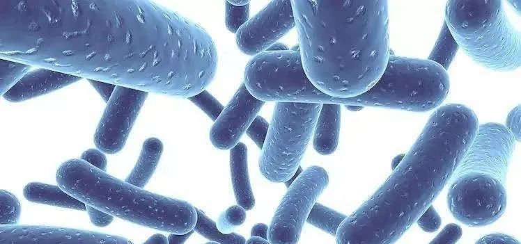 ������ö�ø�ǻ���������������