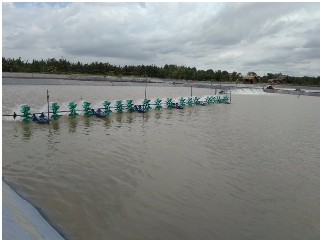 ˮ����ֳ�У����ֳ��õġ��������������ʲô���ã�