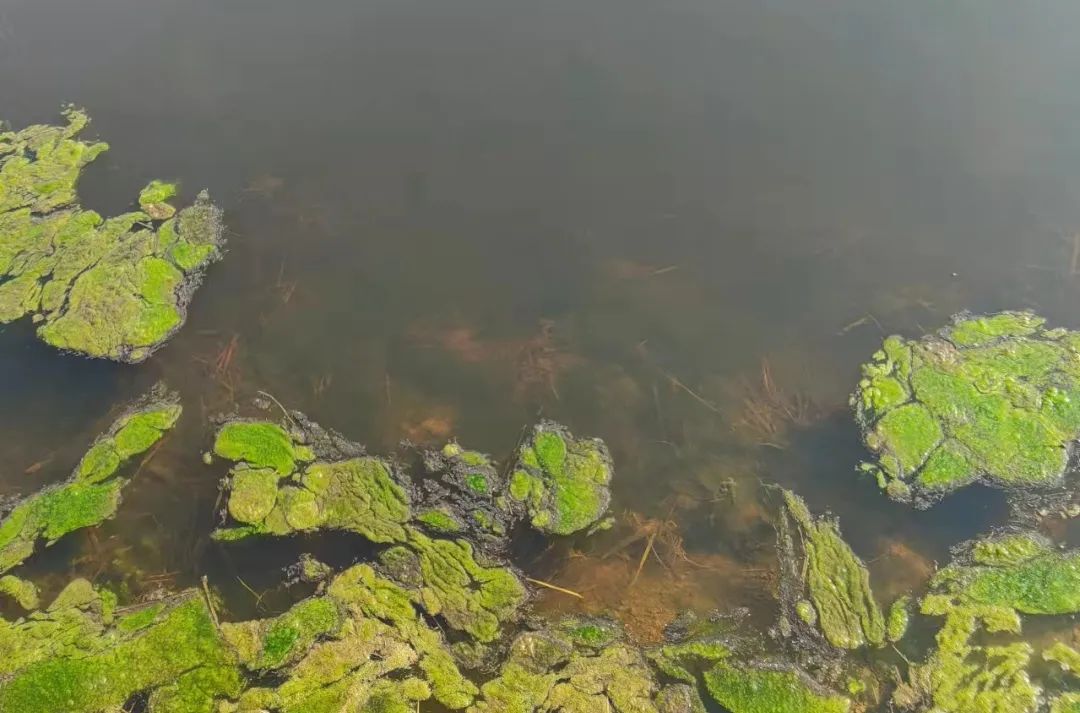 ������̦�ļ���Ҫ�㣬��֪����