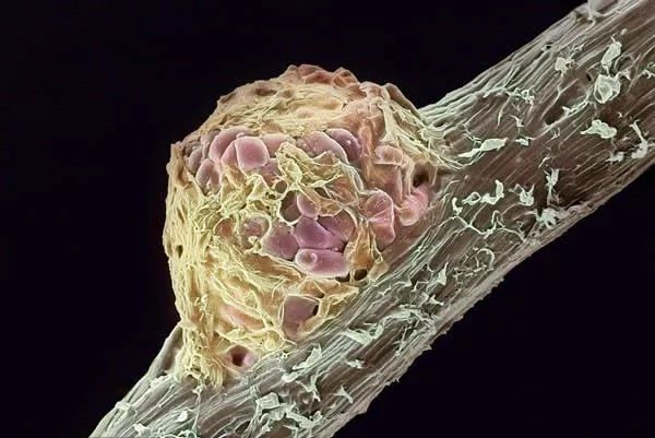 �������������ѧ���о�