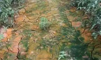 �������̣������ʲôԭ��?